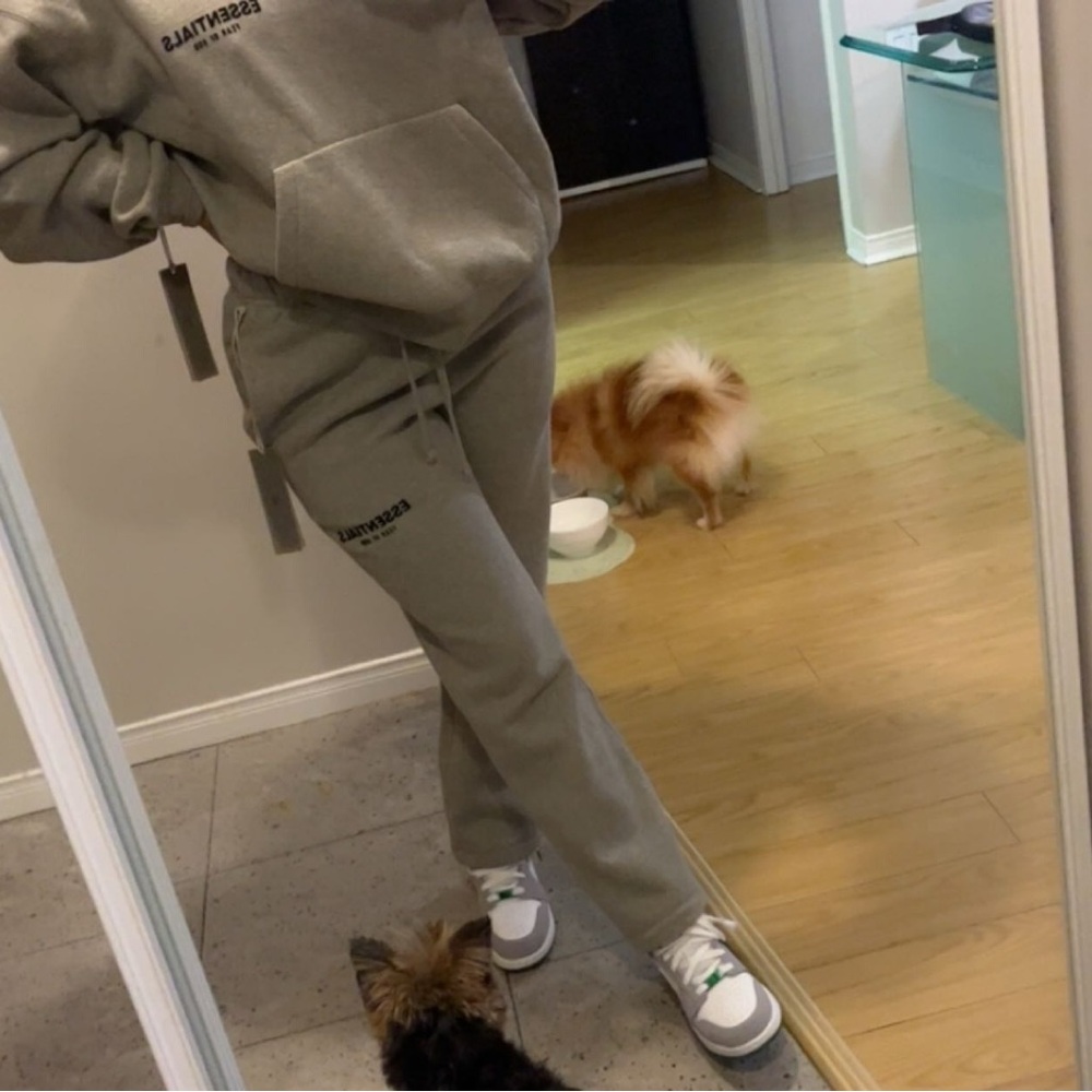 Essentials Gray Joggers - Picture 2 of 2